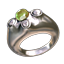 Sacred Donator Ring